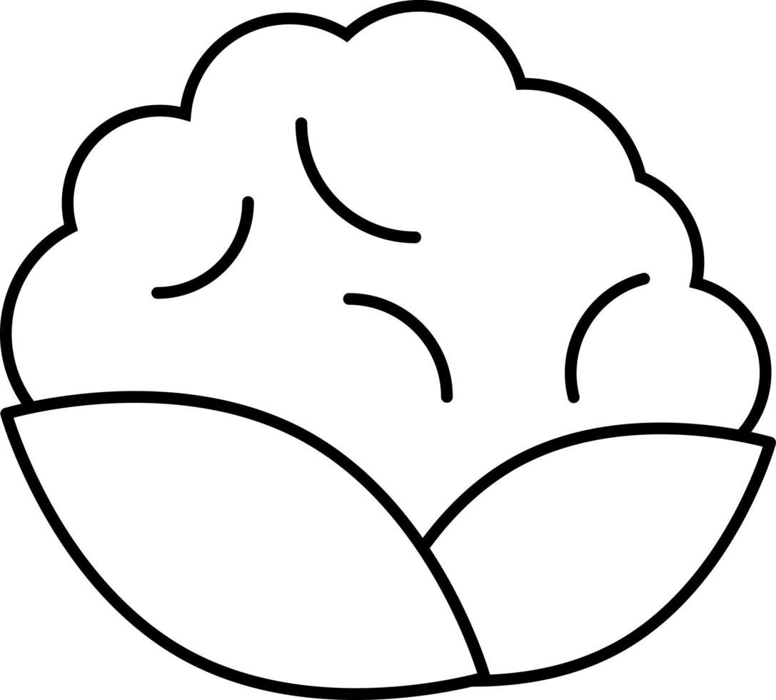 Cauliflower Outline Icon Vegetable Vector