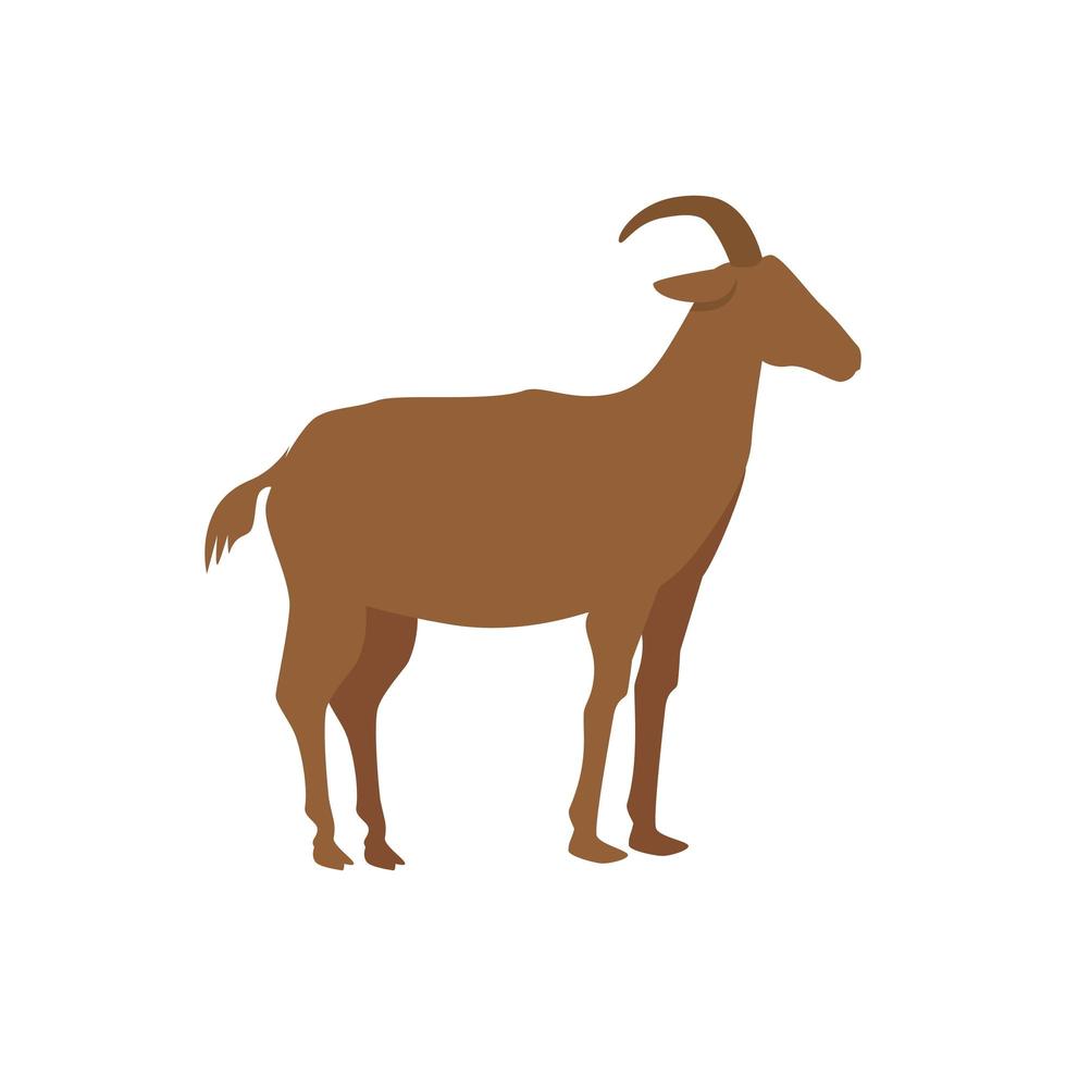 goat animal silhouette in walking pose on white background vector