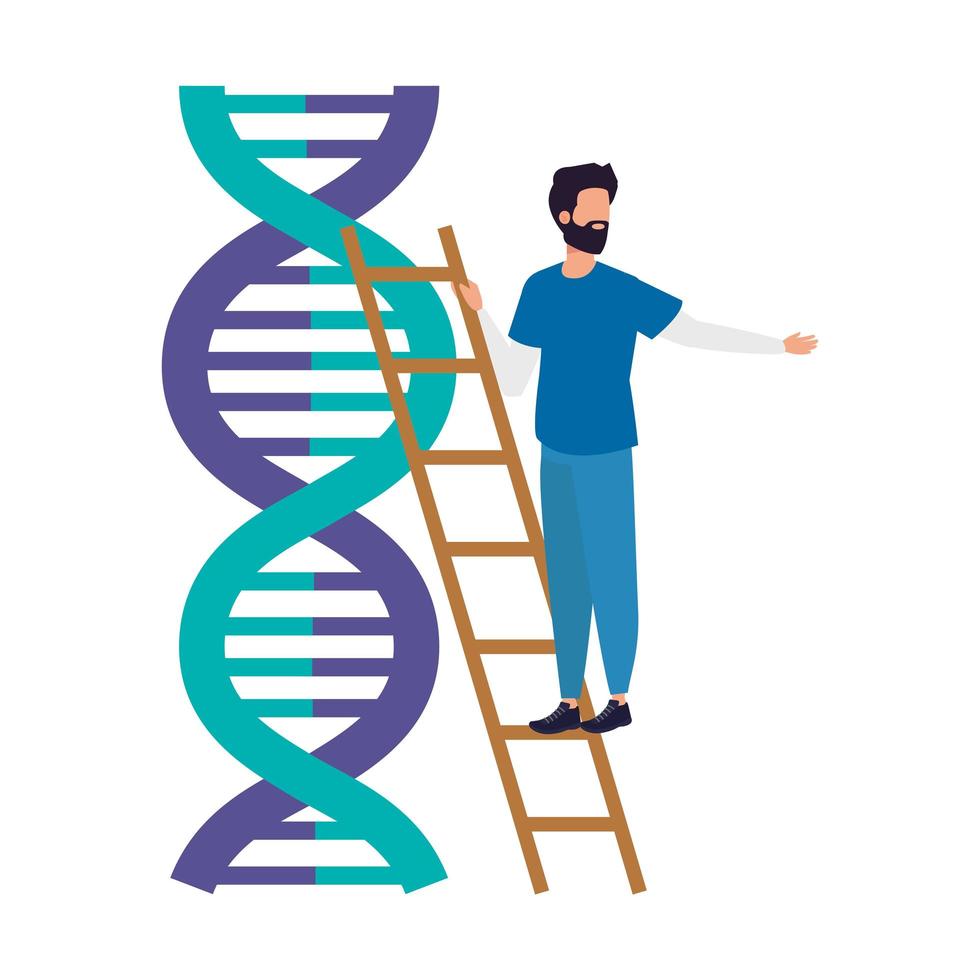 paramédico y estructura de adn icono aislado vector