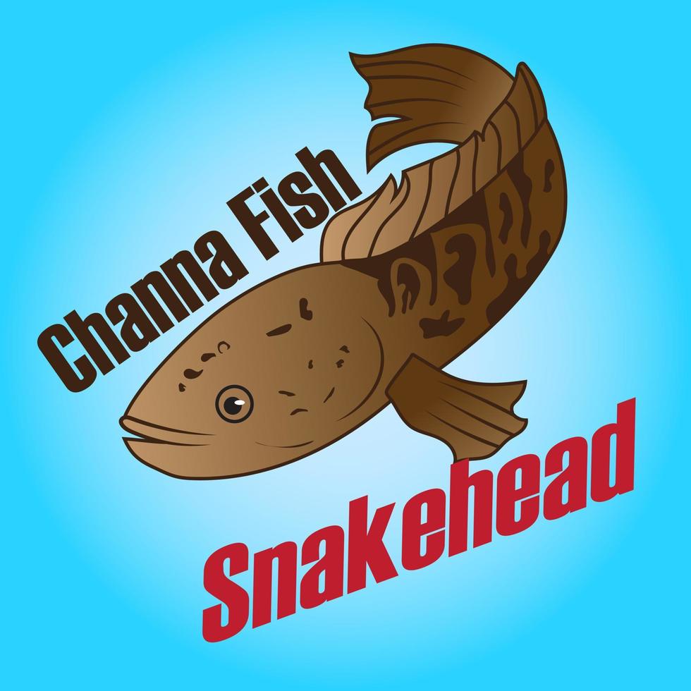 Indonesian fish channa snakehead vector free