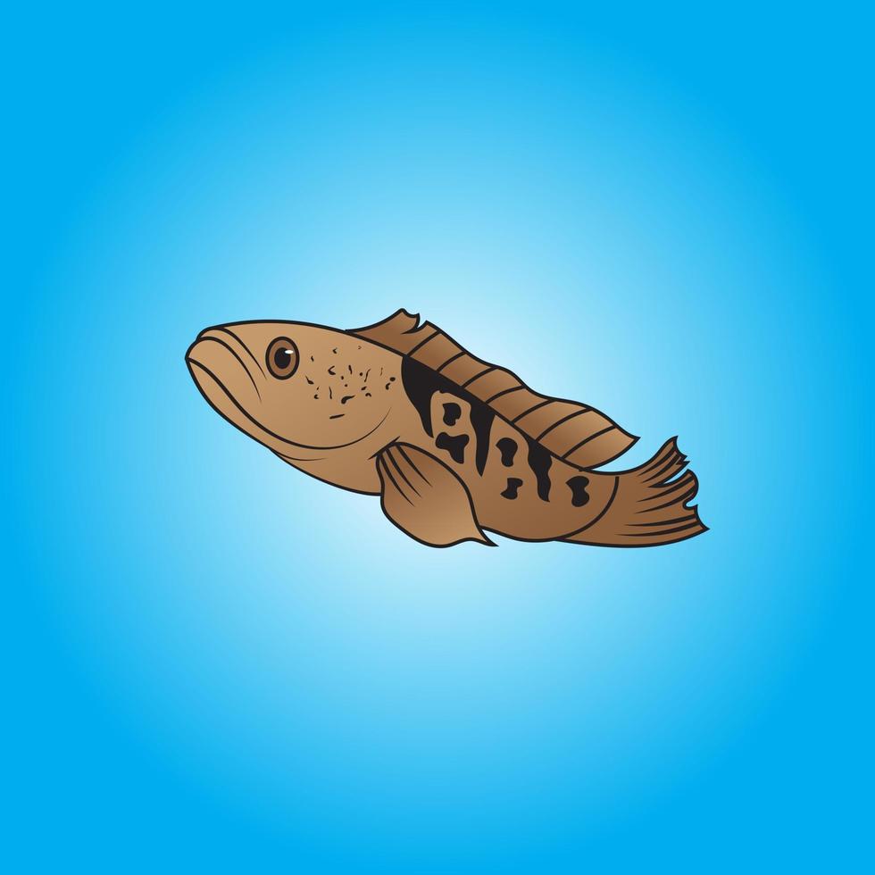 Fish Gabus 1-02 vector