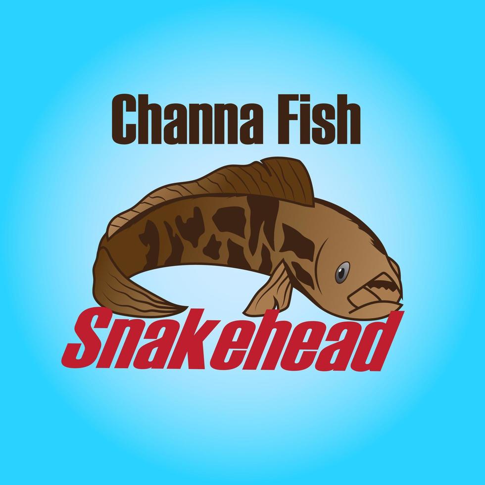 snakehead channa fish illustration vector for element promotion