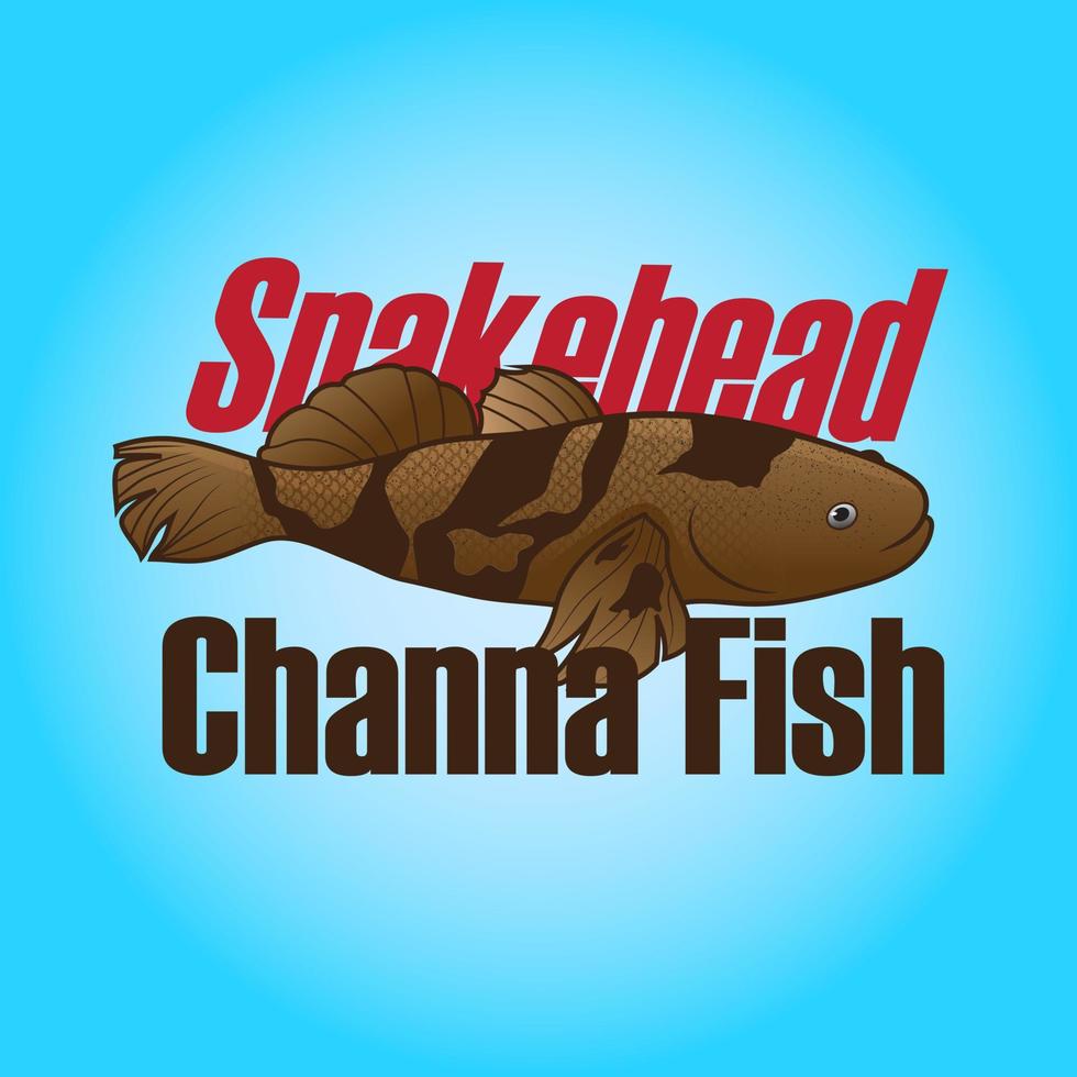 snakehead channa fish illustration vector for element promotion