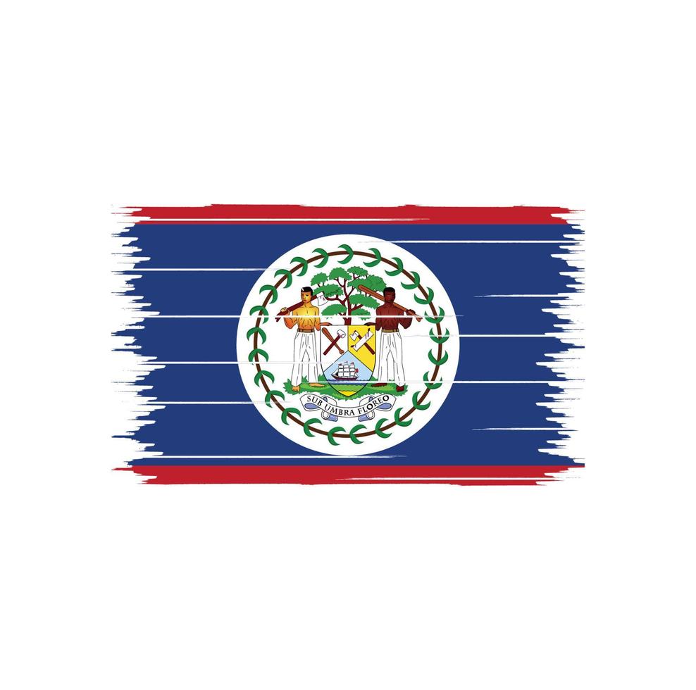 Belize Flag Brush vector