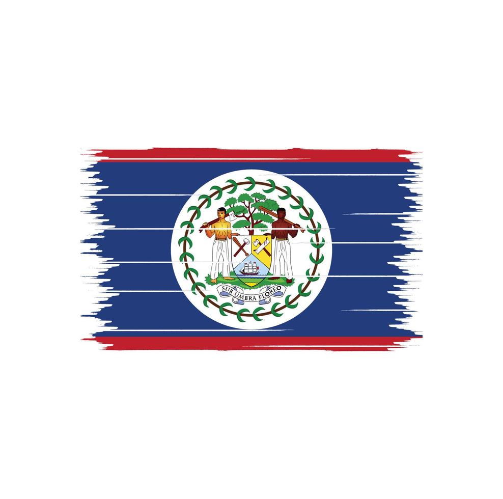 Belize Flag Brush vector