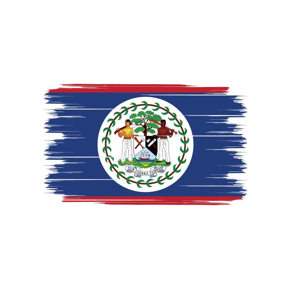 cepillo de bandera de belice vector