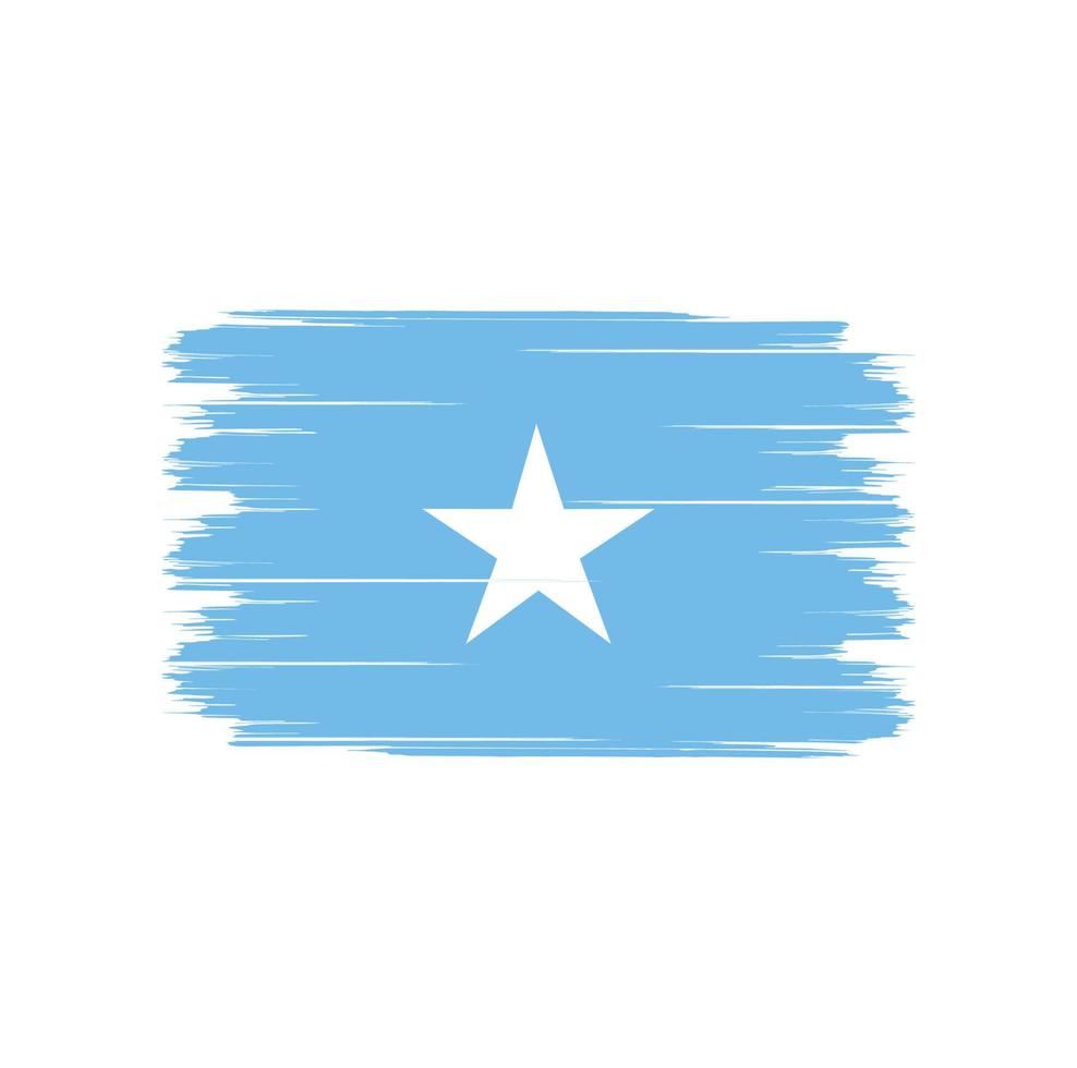 Somalia Flag Brush vector