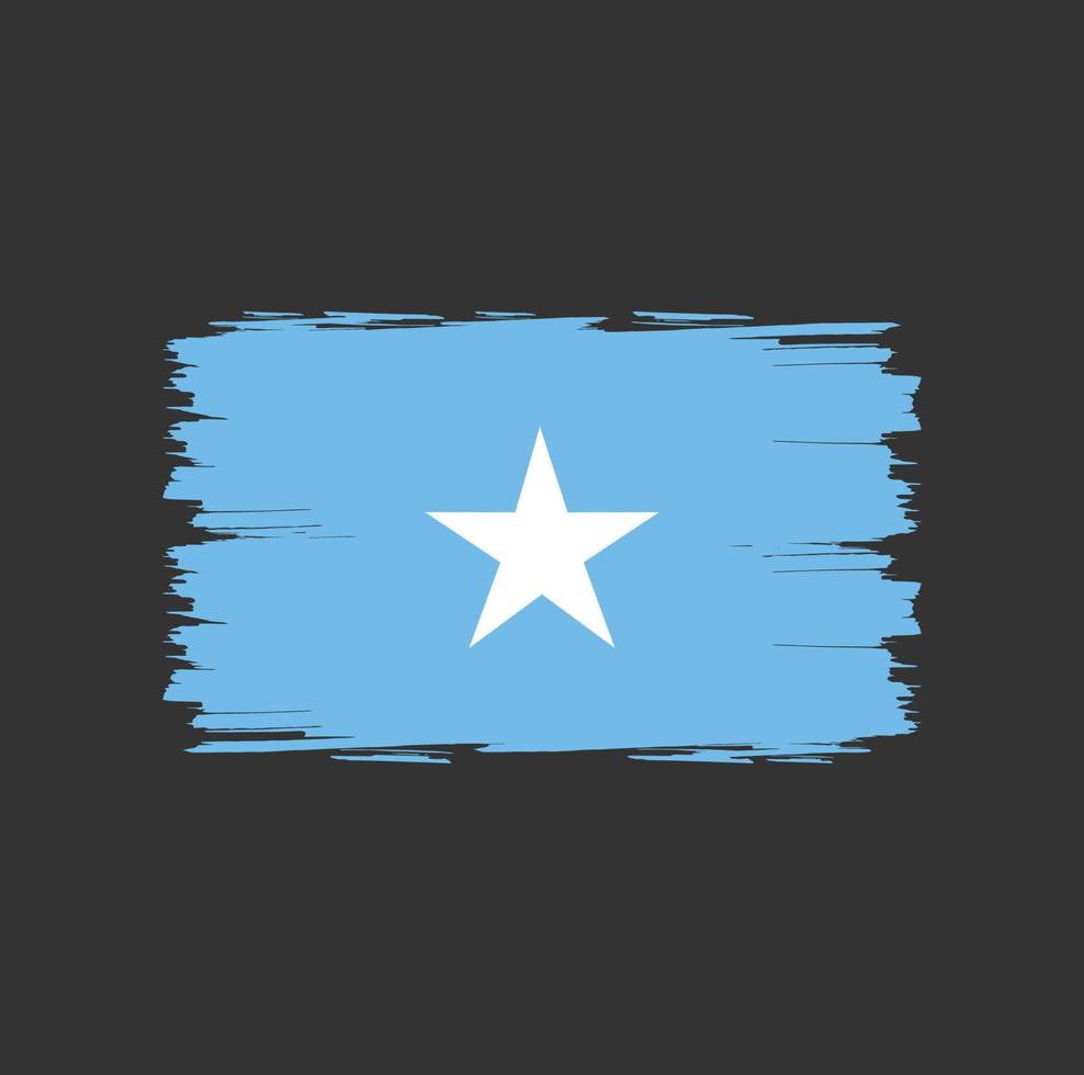 Flag of Somalia with watercolor brush style vector
