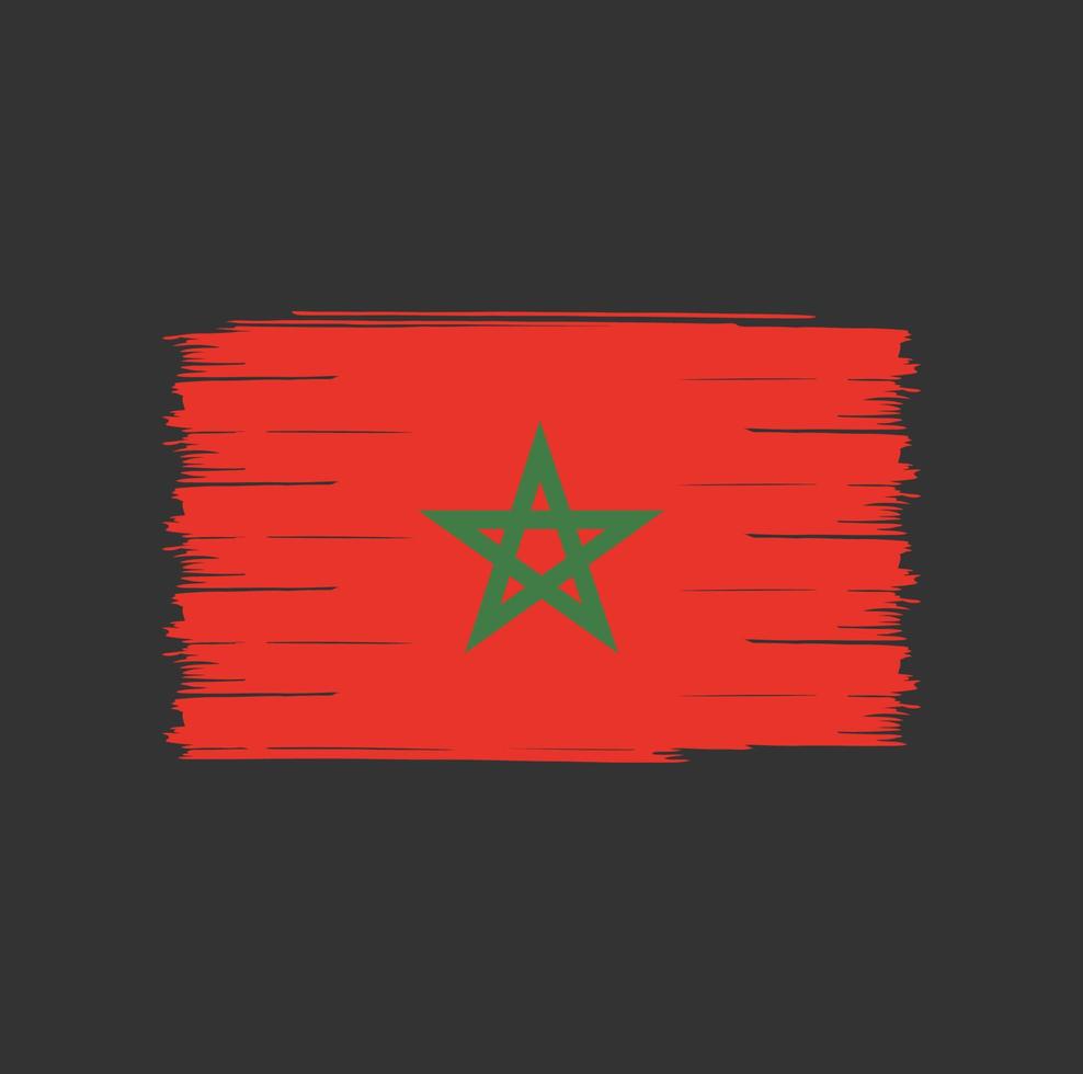 cepillo de la bandera de marruecos vector