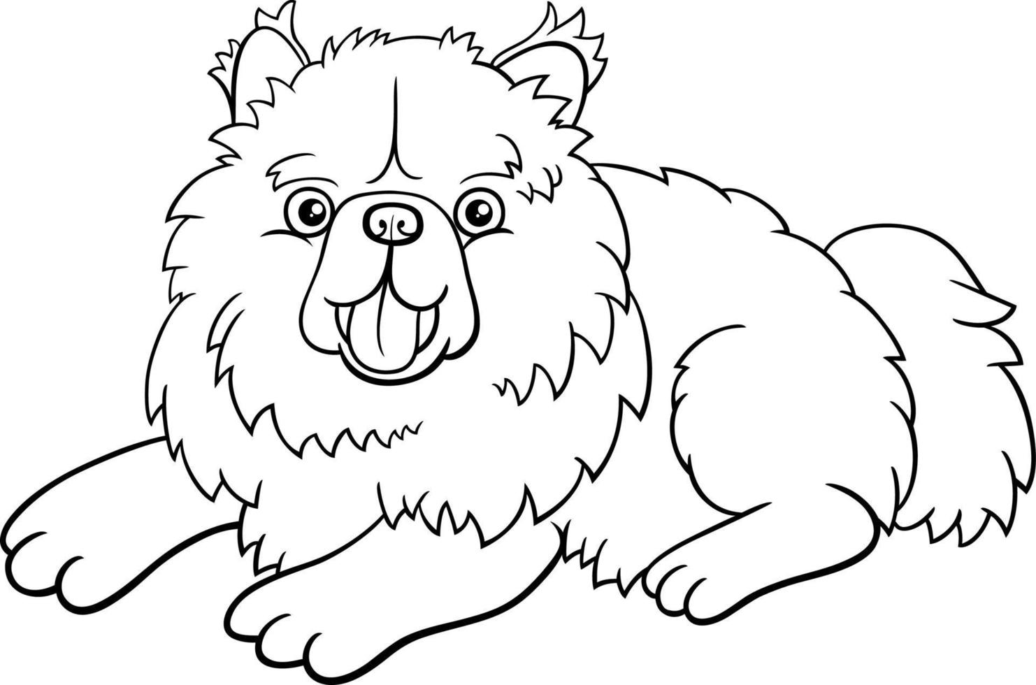 página de libro para colorear de perro chow chow de raza pura de dibujos animados vector