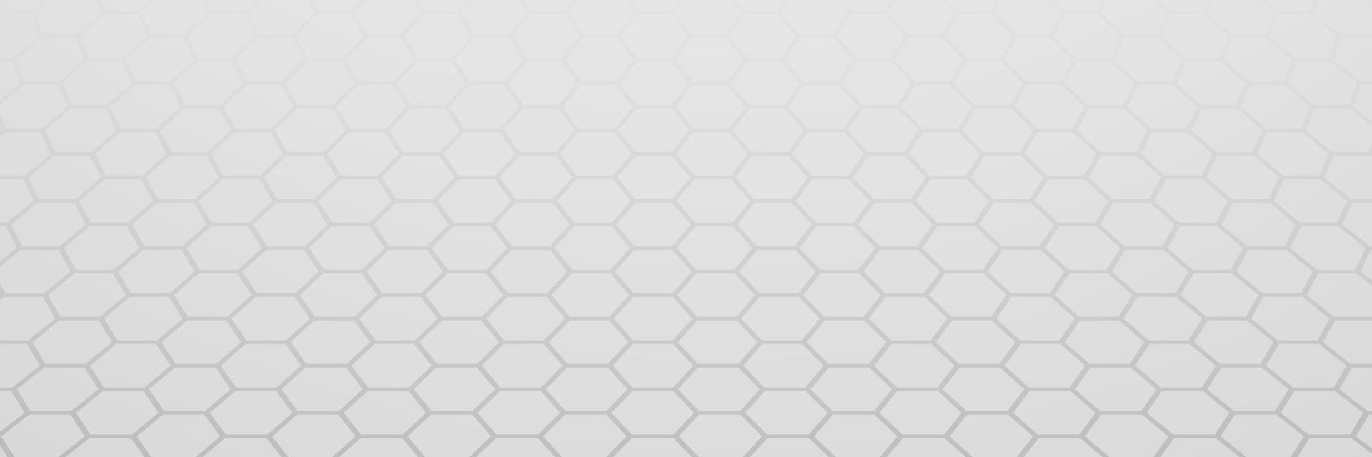 banner Abstract geometric white and gray color background vector illustration.