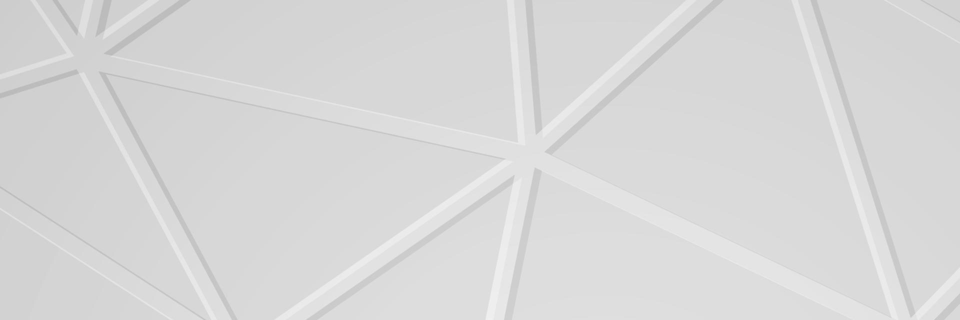 banner Abstract geometric white and gray color background vector illustration.