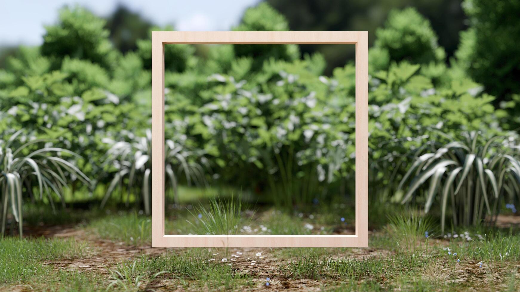 abstract background of mockup wooden frame with grass for product presentation, 3D illustration rendering photo