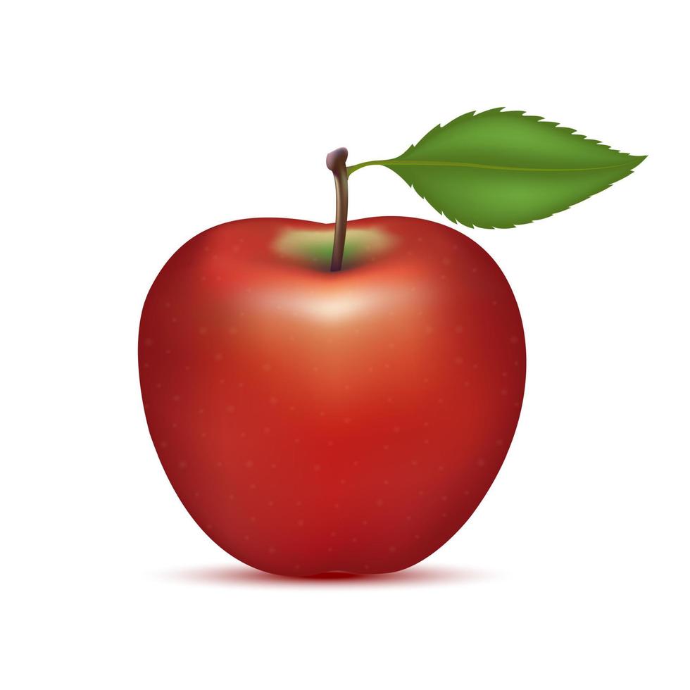 manzana roja con rodajas de manzana y hojas. vitaminas, comida saludable fruta. sobre un fondo blanco. ilustración vectorial 3d realista. vector