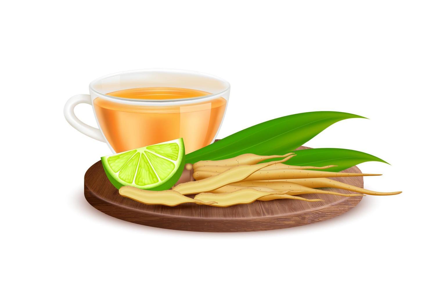Kaempferia fresh with honey and lemon juice for health. Finger root herbal beverage with fresh rhizome. Vegetable and Herb for Seasoning in Cooking. On a wooden plate. Realistic 3d vector. vector