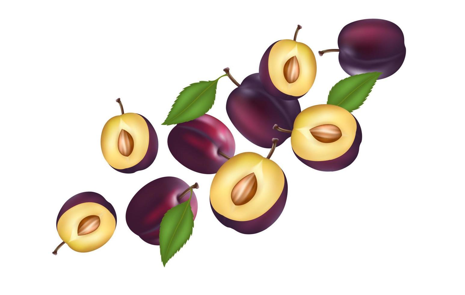 ciruelas pasas con rodajas de ciruelas pasas y hojas volando. vitaminas, comida saludable fruta. sobre un fondo blanco. ilustración vectorial 3d realista. vector