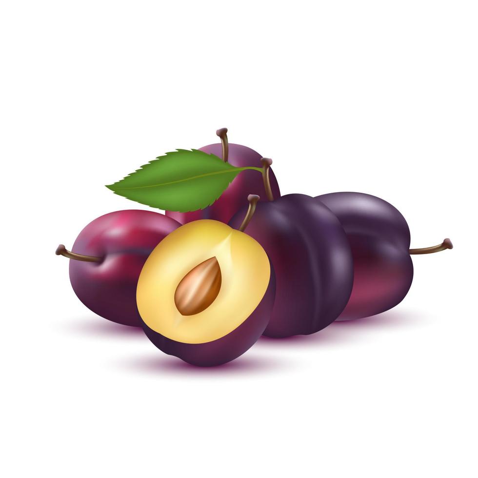 ciruelas pasas con rodajas de ciruelas pasas y hojas. vitaminas, comida saludable fruta. sobre un fondo blanco. ilustración vectorial 3d realista. vector