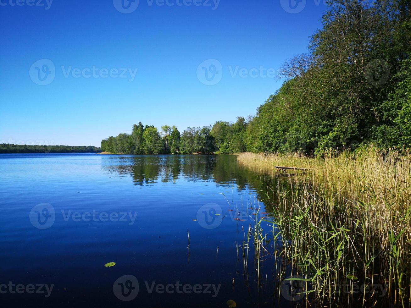 Summer Bank of a river or lake. the surface of the water mirror. Trees over water, villas. Beautiful light of the sun. photo