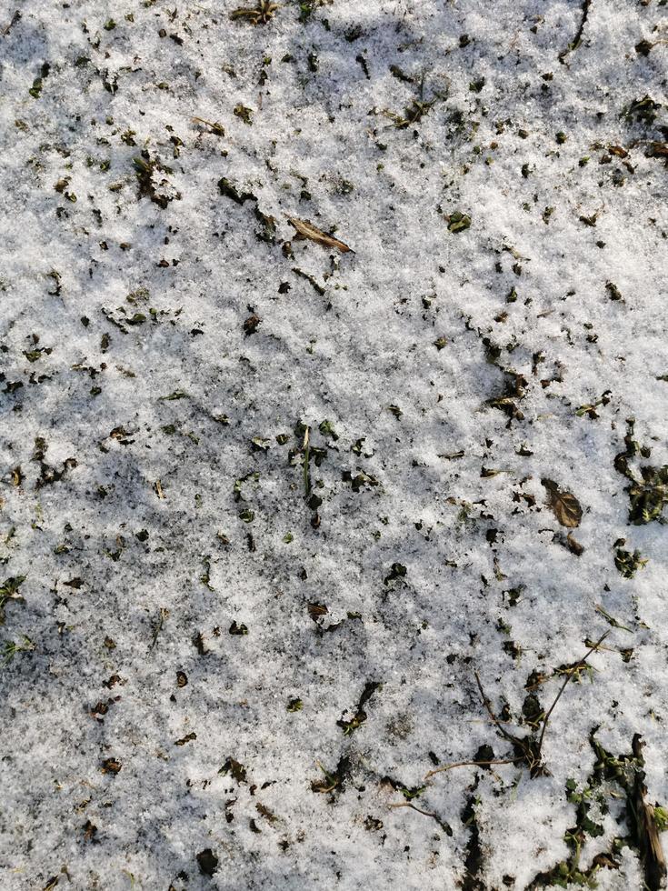 Melted snow in the spring with brown leaves, spring in March.Dirty snow.Little snow on the ground.Spring in the countryside.Dirty foliage.Wet earth photo