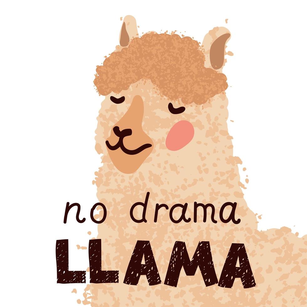 Lama Colorful Illustration vector
