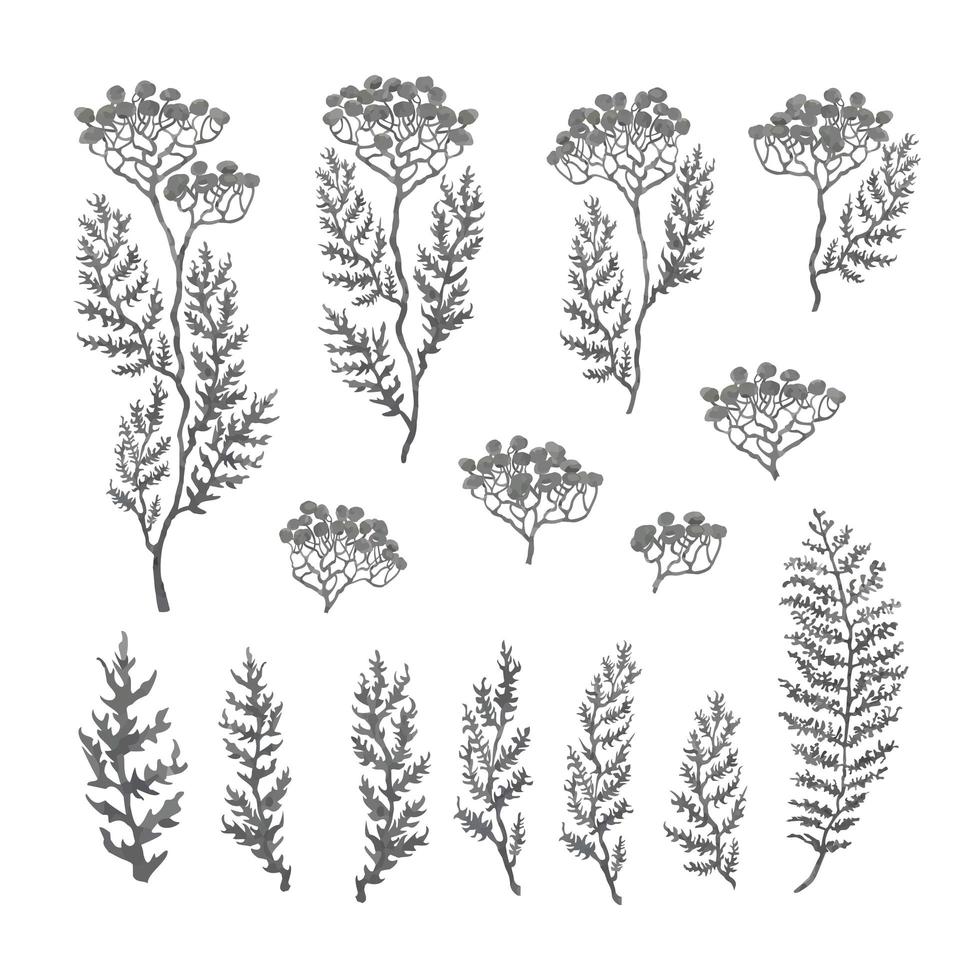 Illustration set of herbs, plants and flowers sketches vector