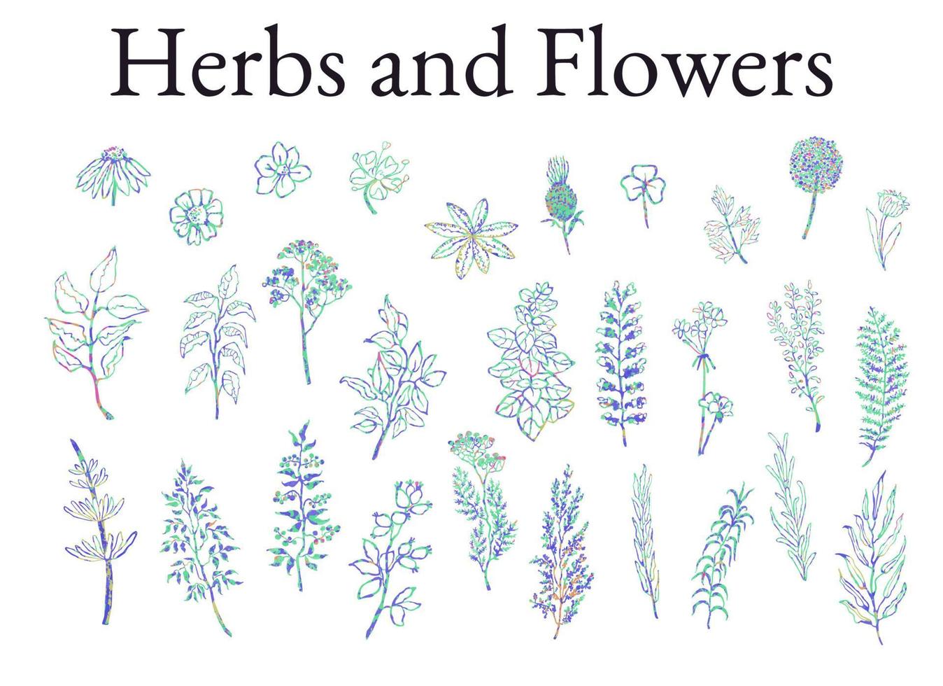 Colorful illustration set of herbs, plants and flowers. Hand drawn graphic sketches for you design vector