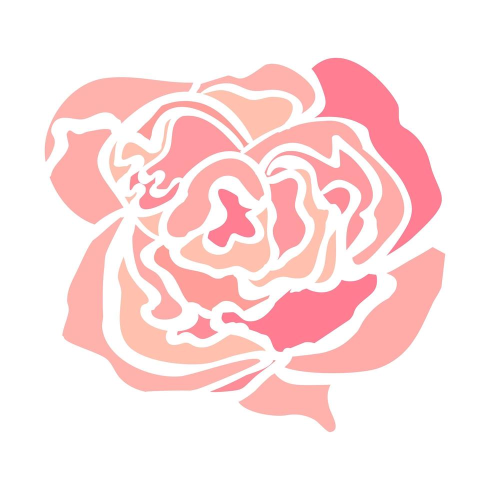 ilustración de flor rosa vector