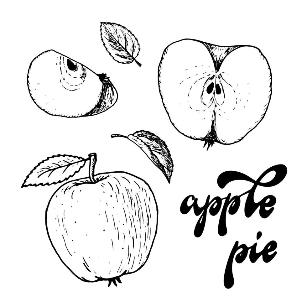 conjunto de manzanas dibujadas a mano, hojas y citas con letras aisladas en fondo blanco. inscripción de caligrafía 'pastel de manzana'. eps 10 vector