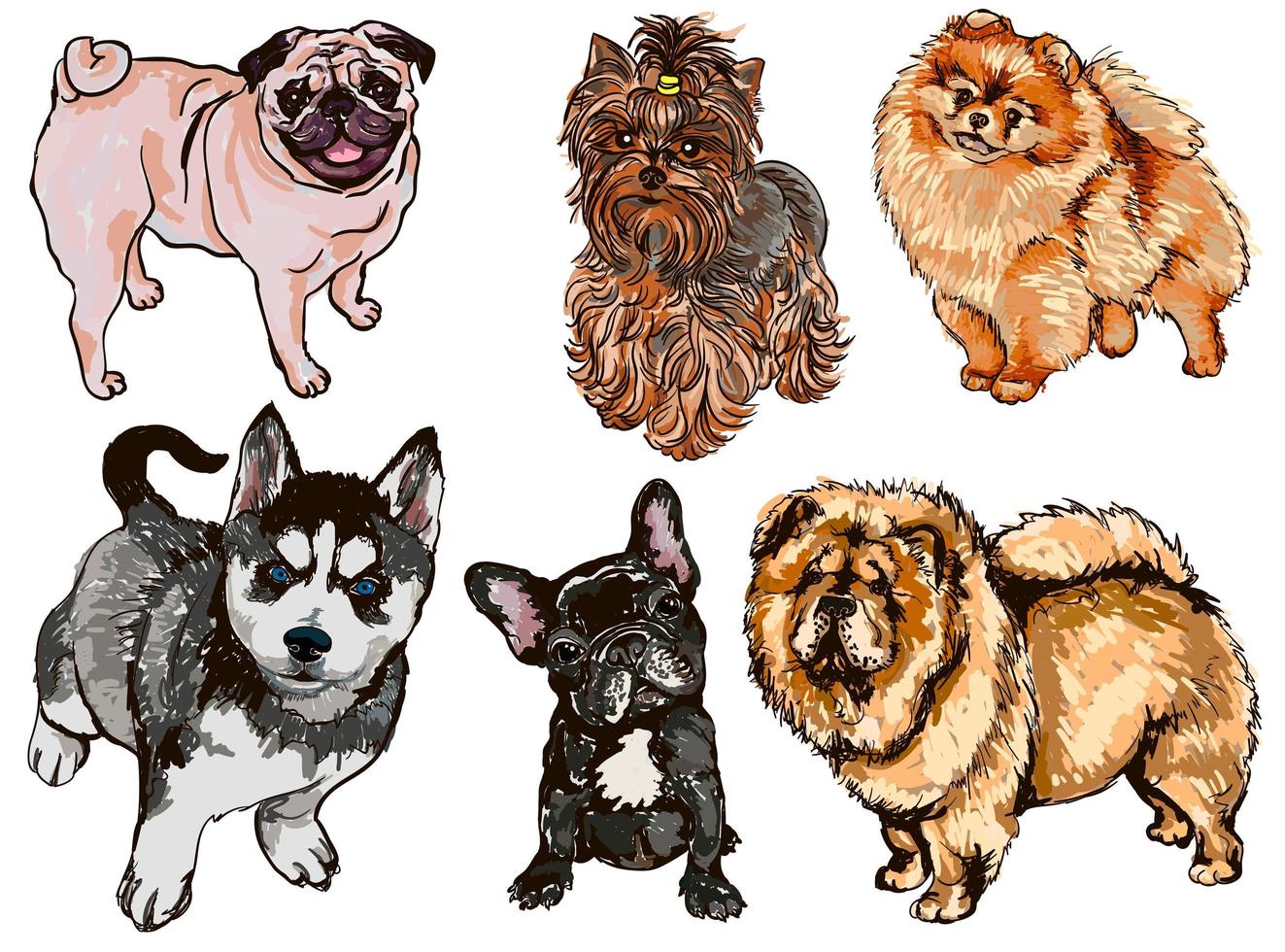 Colorful set of illustrations of dogs of different breeds vector