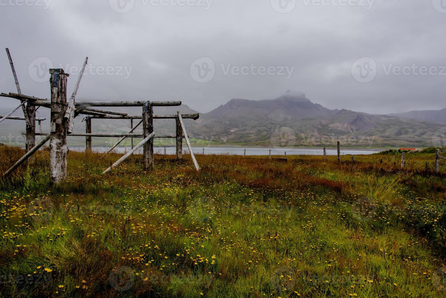 2021 08 16 Borgarfiordur Eystri Fish dryer 1 photo