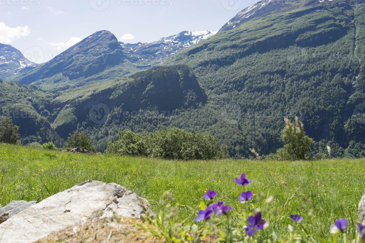 geiranger es un pequeño pueblo turístico en la región de sunnmore de noruega. foto