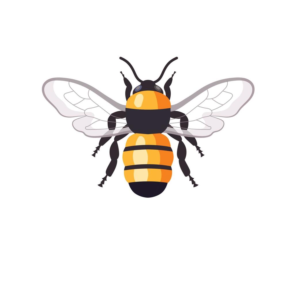 cartoon honey bee vector