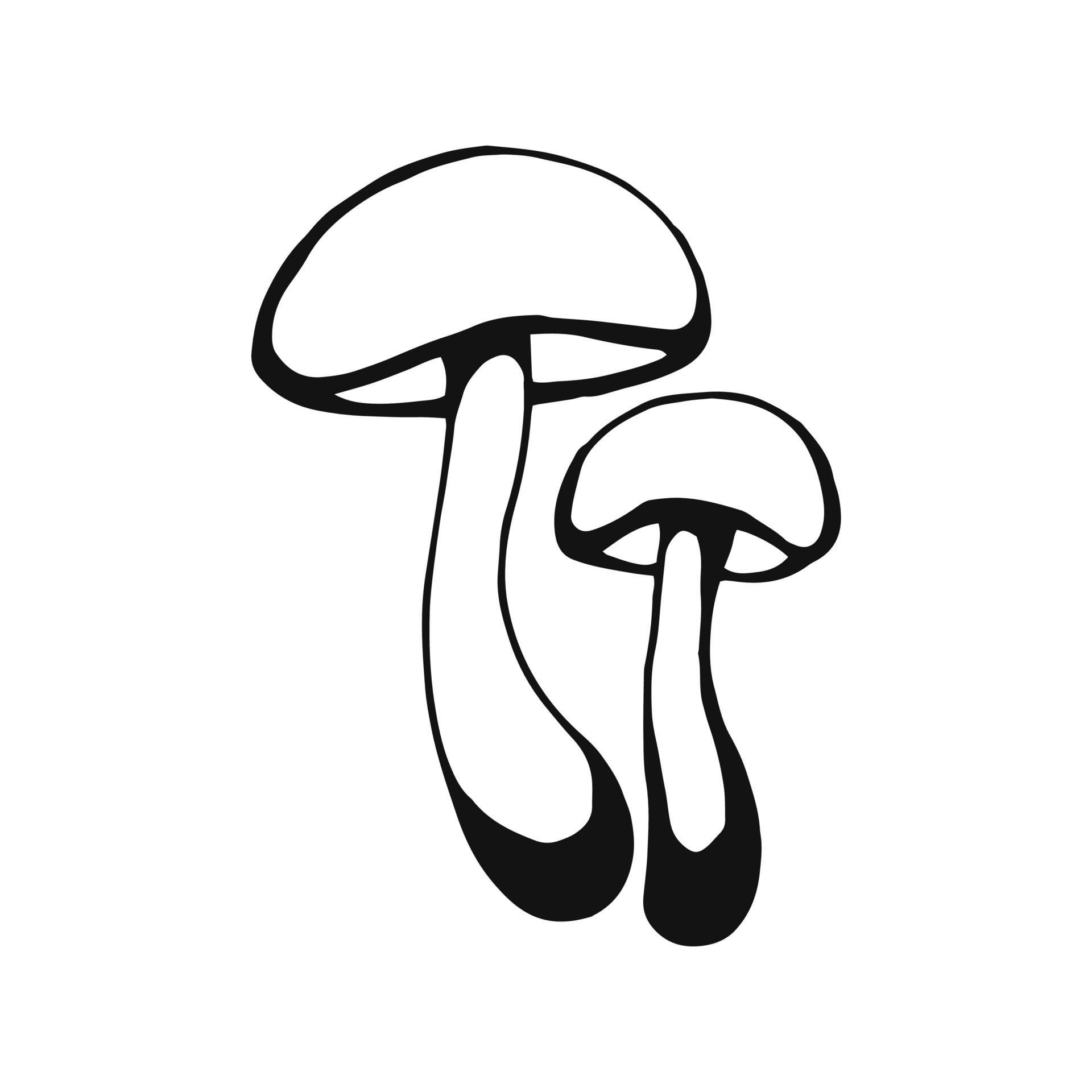 Hand drawn mushroom outline. Line art style isolated on white