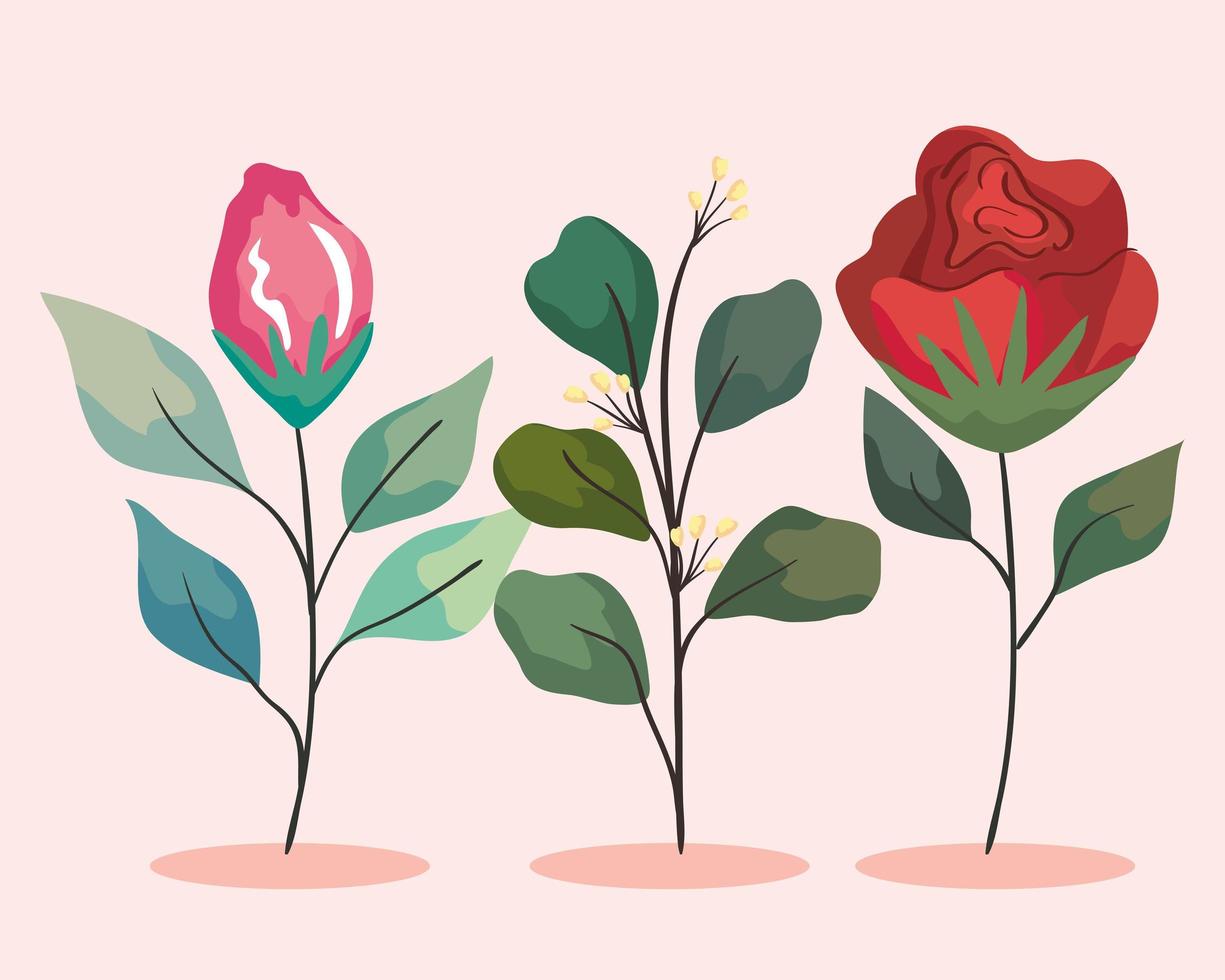 two flowers garden vector