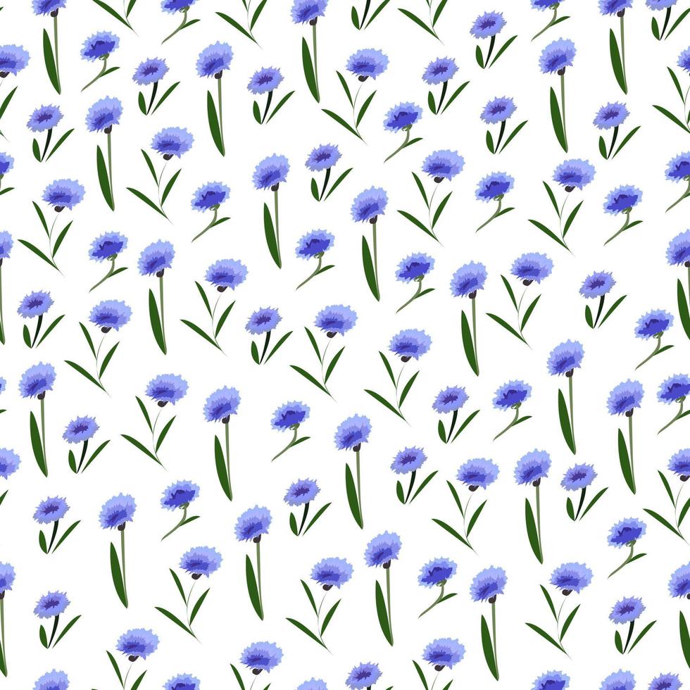 Seamless pattern with blue cornflowers on a white background. vector