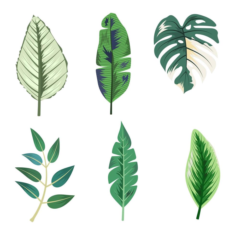 Collection of beautiful tropical leaves isolated on white background. vector