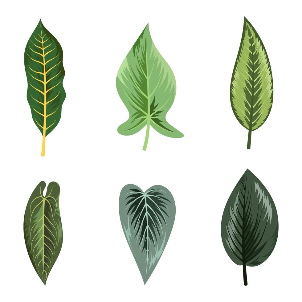 Collection of beautiful tropical leaves isolated on white background. vector