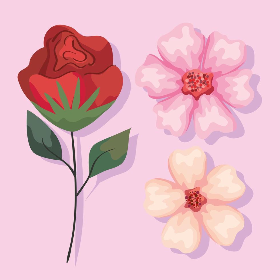 three flowers garden vector
