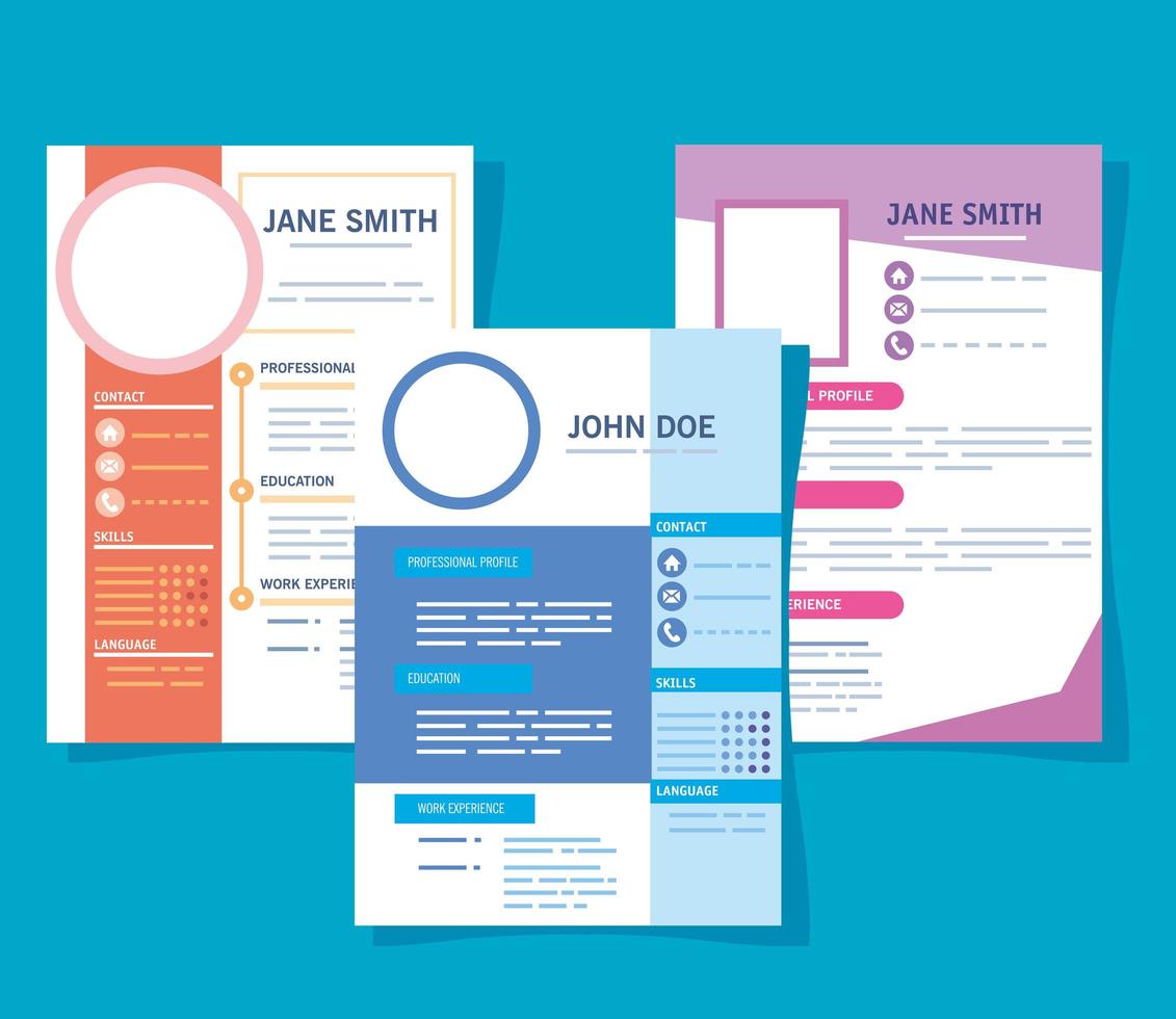 curriculum vitae three templates vector