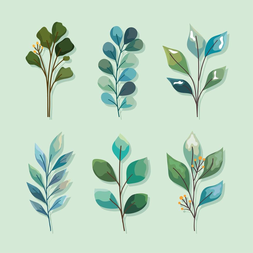 six watercolor nature branches vector