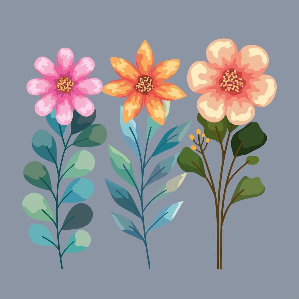three watercolor flowers garden vector