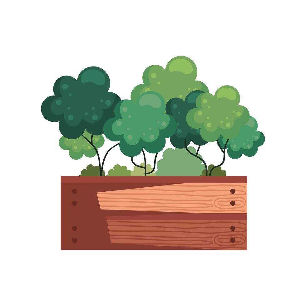 houseplant in wooden pot vector