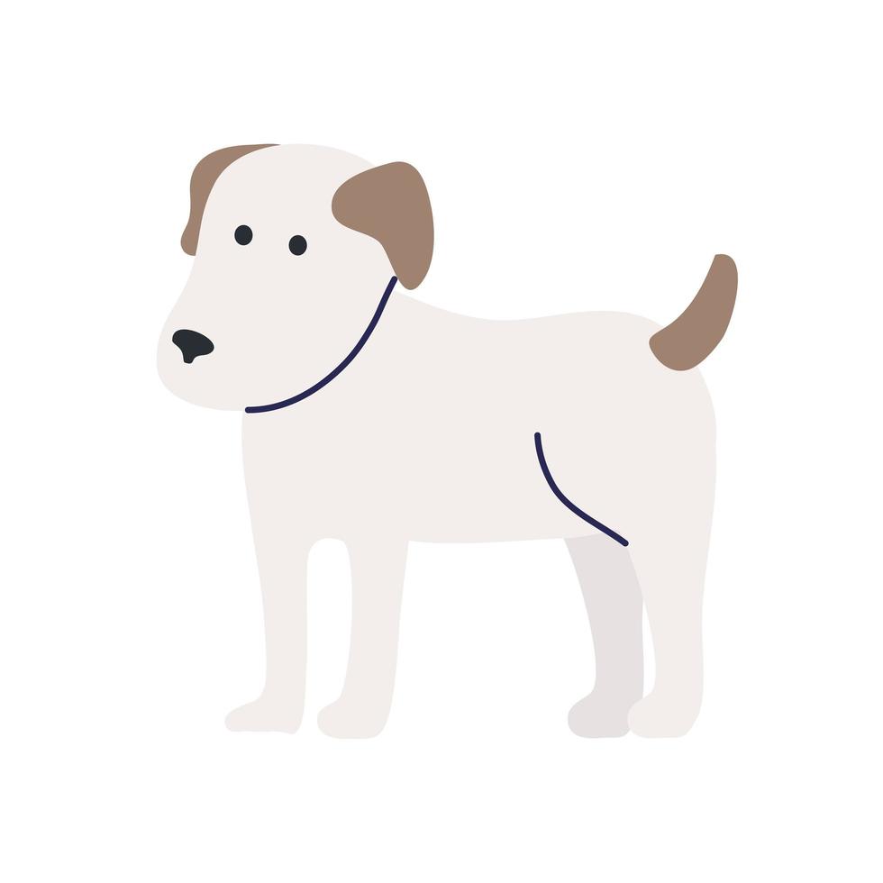 cute dog of white color vector
