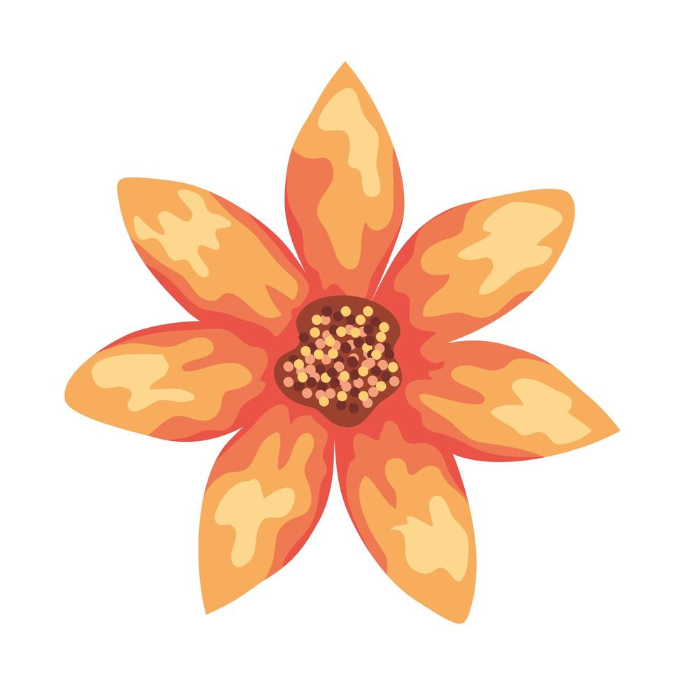 orange flower watercolor vector