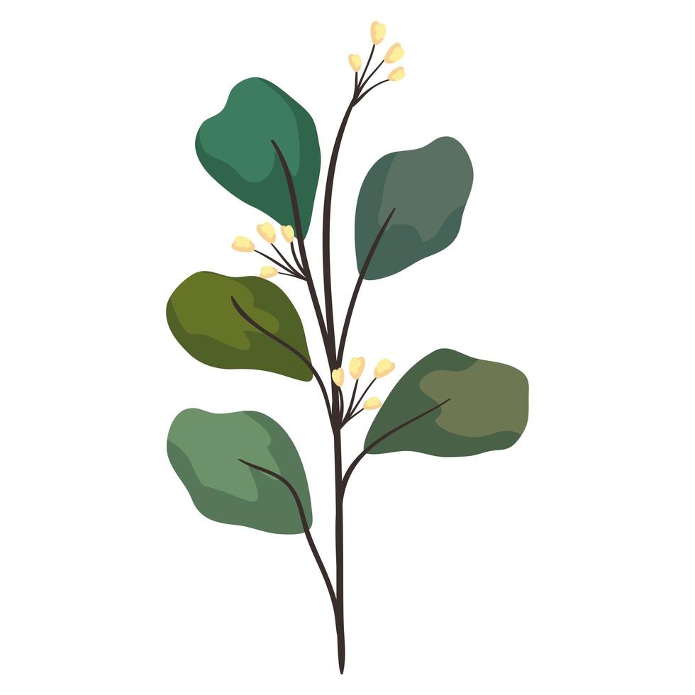 branch with flowers and leafs vector