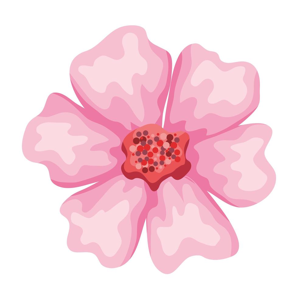 pink petals flower vector