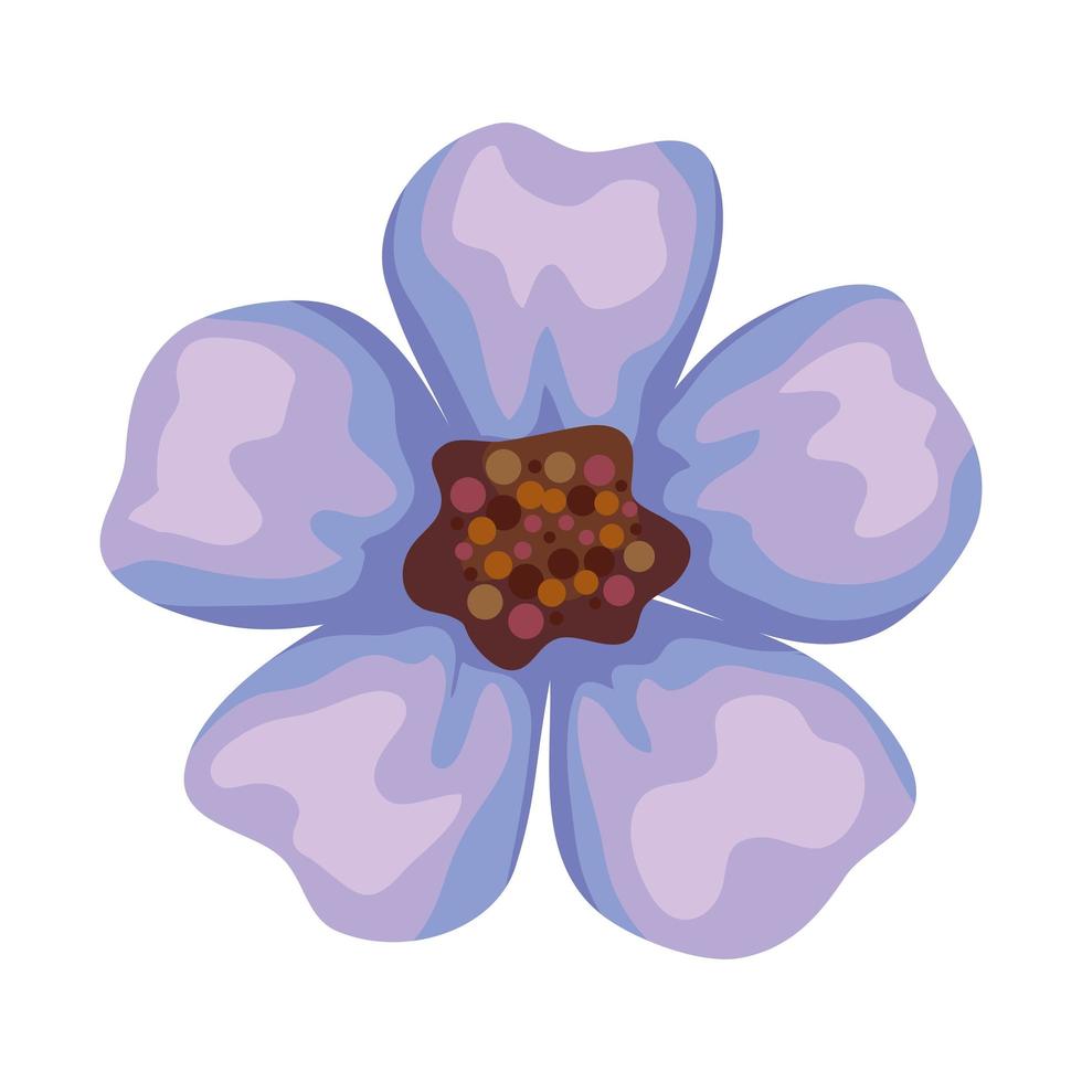 lilac petals flower vector