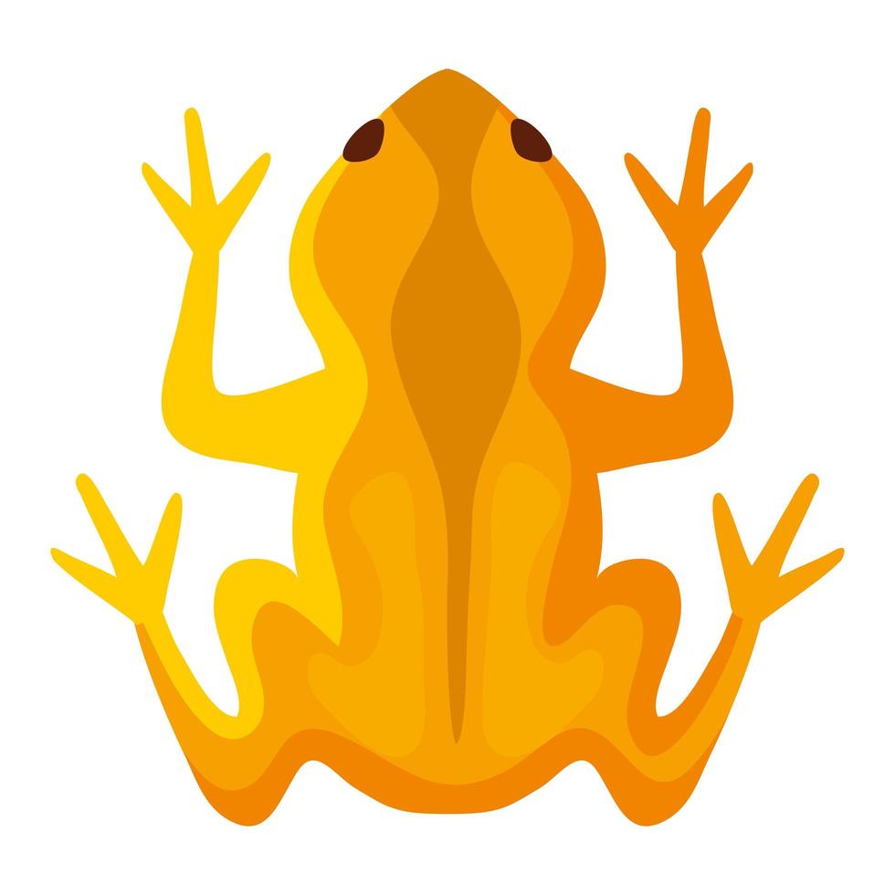 frog of puerto rico vector