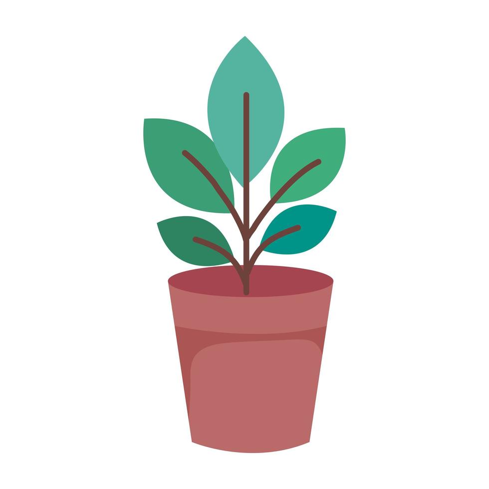 pot plant nature vector