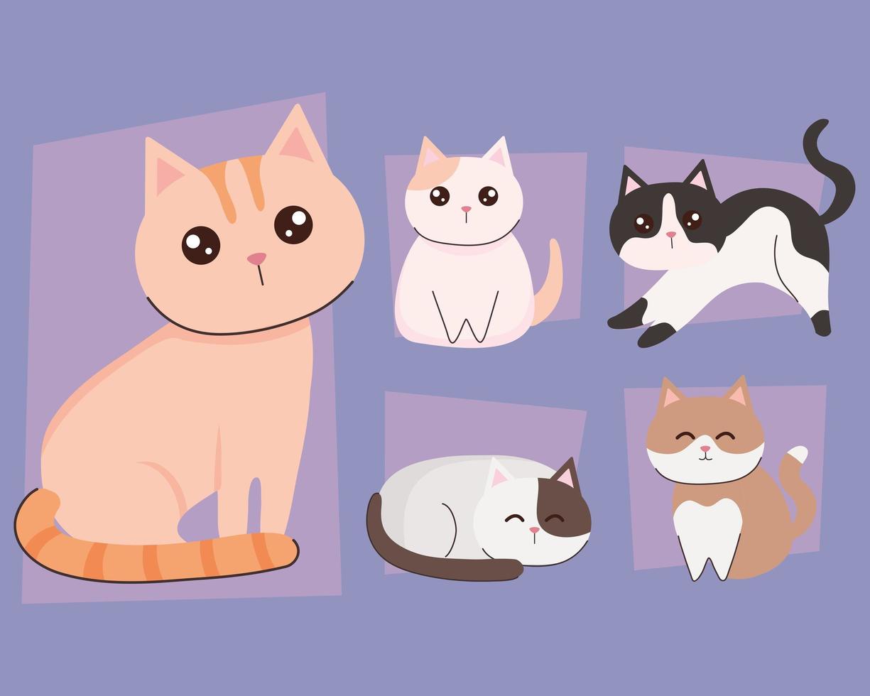 lindos gatos animales vector